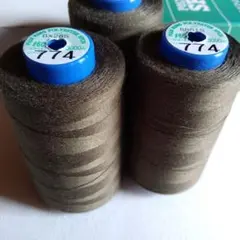 Item thumbnail for item 69f4e9e8-be18-413f-b910-1662528ac0be