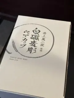 Item thumbnail for item bc842774-367c-49c4-bad1-065920c1127a