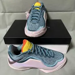 ナイキ レブロン23 Miami Twice マイアミ バスケットシューズ - メルカリ