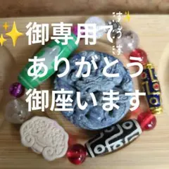 ✨御専用です✨