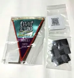 2025年最新】GLAY ガーランドの人気アイテム - メルカリ