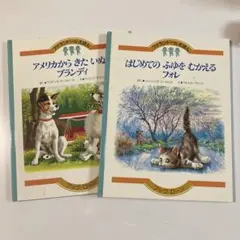 Item thumbnail for item c1461763-1e6d-4682-ac16-c54c73427b20