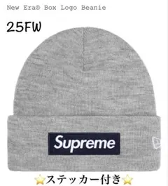 Supreme New Era Box Logo Beanie Grey