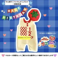 【今入院中※ナスでんがく(プロフ一読推奨)様】ハーフバースデー衣装