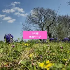 ルル様専用ページです。