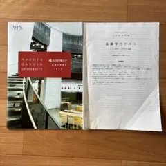 Item thumbnail for item 48e46044-d223-4dcb-bcec-201305d98105