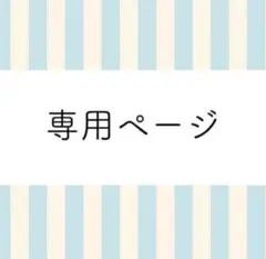ともきち様 専用ページ 2点 まとめ商品