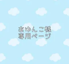 あゆんこ様ホイップデコ専用ページ