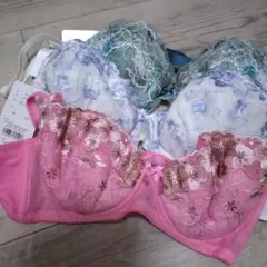 刺繍ブラジャーセット（ピンク・青・緑）　C80　トリンプ