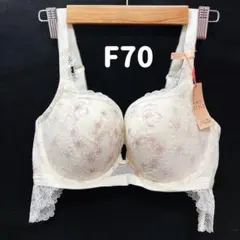 トリンプ　ドリーミーポインセチア AMOSTYLEホープブラ F70 #9のサムネイル