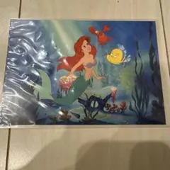 リトルマーメイド　アリエル　ポストカード　ディズニー