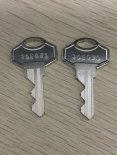 ALPHA 30E073 （アルファ73番）純正同一キー　2本　南京錠