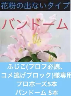 ふじこ(プロフ必読、コメ逃げブロック)様専用 プロポーズ5本 バンドーム 5本