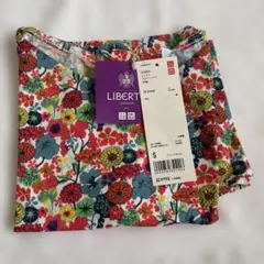 Item thumbnail for item 2d1c952e-0fc4-4512-8de0-e084b1310f18