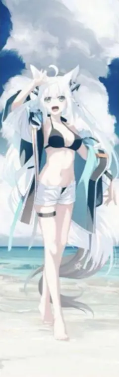 2026年最新】白上フブキ タペストリー 等身大の人気アイテム - メルカリ