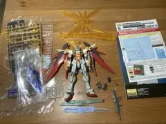 【値下げ可能】 RG 1/144 デスティニーガンダム【ハイネ】➕拡張エフェクト Amazon | GUNPLA EXPO 2013 RG 1/144 デスティニーガンダム