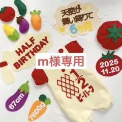 【14日発送】m様専用