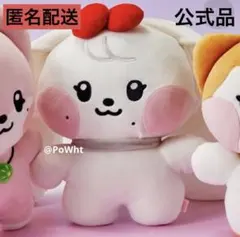 2026年最新】ive minive メガクッションの人気アイテム - メルカリ