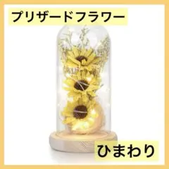 Item thumbnail for item a3de38f7-7ab5-43c6-b815-fb362a52ceb7