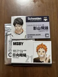 ハイキュー　日向翔陽　影山飛雄　名刺カードコレクション　ファンパーク