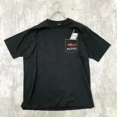 90s ヴィンテージ【XL】企業系 テック Tシャツ/HUGHES ギーク 黒