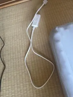 ホワイト 電源アダプター 2ピン