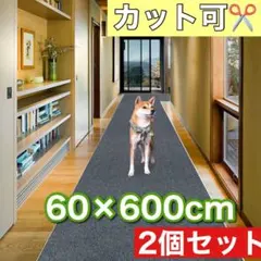 Item thumbnail for item 4266a9dc-60f1-4a05-82d8-3b99933983fb