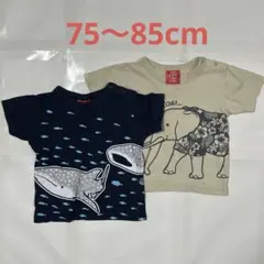 サク様 リクエスト 3点 まとめ商品