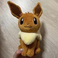ル*す様 【新品】ポケットモンスター やさしいきもち ぬいぐるみ