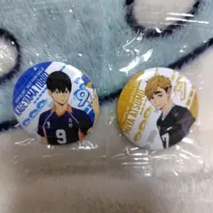 ハイキュー ※ ビッくらポン