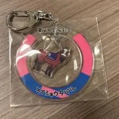 メイショウタバル 宝塚記念 アクリルキーホルダー - メルカリ