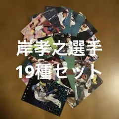 プロ野球チップスカード岸孝之選手19種まとめセット(キラ3種、ノーマル15種他)