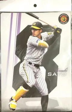 今年大活躍‼️阪神タイガース 佐藤 輝明