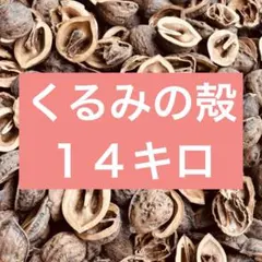 祝超メルカリ祭 天然くるみの殻 限定増量11キロ ガーデニング・外構用