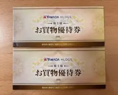 YAMADA HLDGS. ヤマダ電機　お買物優待券 10,000円