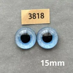 3838 オリジナルグラスアイ 15mm - メルカリ