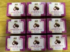 マンゴスチン石鹸 アバイブーベ 100g 9個