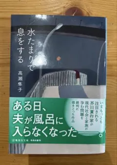 Item thumbnail for item d860506d-e03b-492d-935e-9528898a40b8