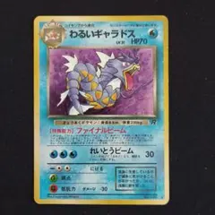 わるいギャラドス プロモカードパック 25th ANNIVERSARY edi… Amazon.co.jp: ポケモンカードゲーム ソード＆シールド 拡張パック