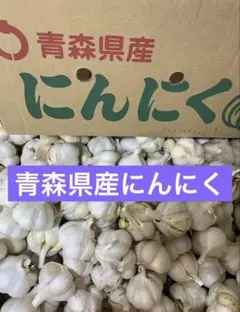 平戸にんにく 乾燥 5kg - メルカリ