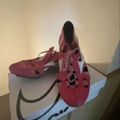 クロノインクス