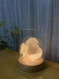 doTERRA ドテラ アロマストーン ライト 天然石