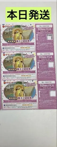 2025年最新】サマーランド株主優待の人気アイテム - メルカリ