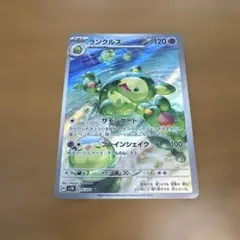 ランクルスarのサムネイル