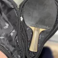 Item thumbnail for item 6ff210e9-facd-4918-b2b4-b254bf9c03d2