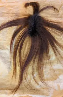 Item thumbnail for item 1c3a5597-7a4c-4b9b-9626-c14d5052f92a