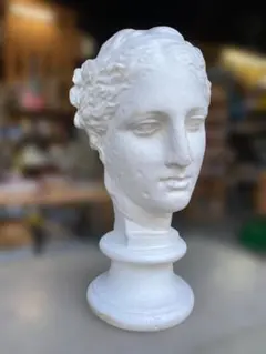 ジュリアーノ・デ・メディチ胸像 デッサン 石膏像美術品インテリア
