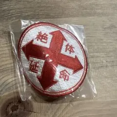 2026年最新】ラッドウィンプス 缶バッジの人気アイテム - メルカリ