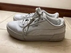 Item thumbnail for item e4d16290-4cbe-4d5e-8138-83fdeca2e94c