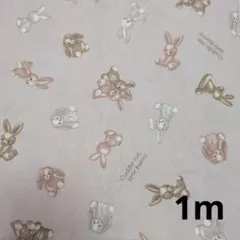 Item thumbnail for item c013c11c-d0d3-4255-8080-5b2675e36361